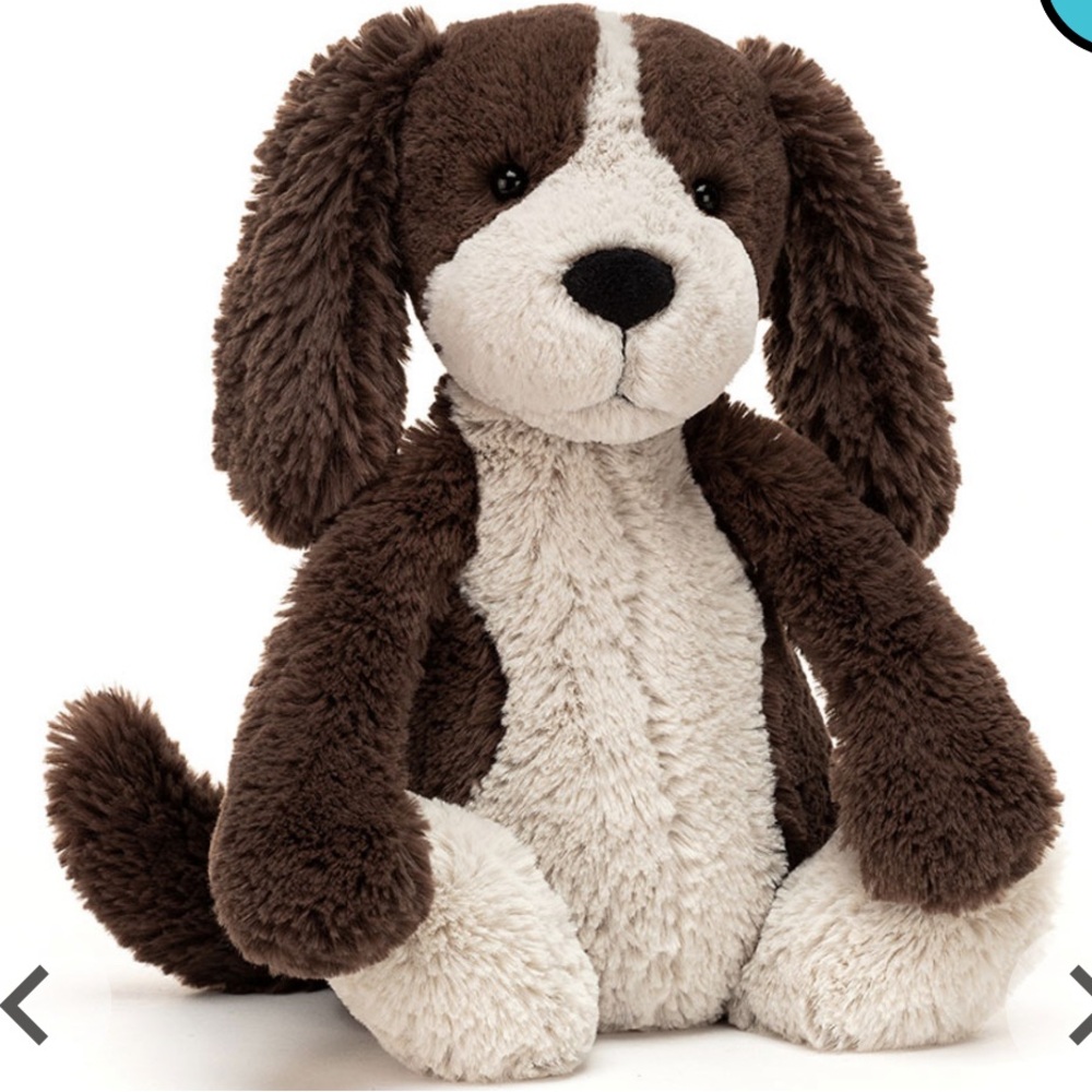 Jellycat bashful fudge puppy medium